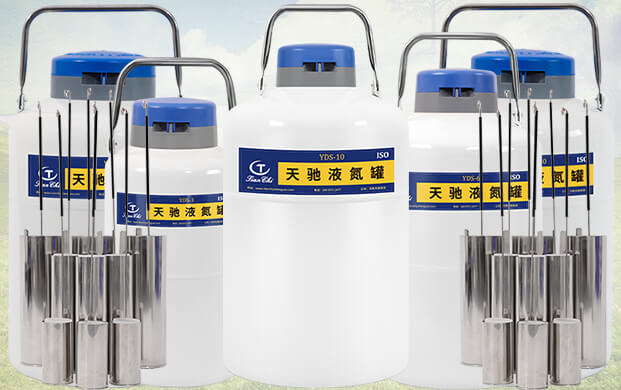 10升液氮罐能裝多少支凍精？