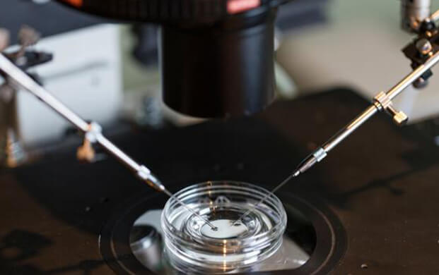 新型IVF技術(shù)通過糖分子綁定延長(zhǎng)精子存活期