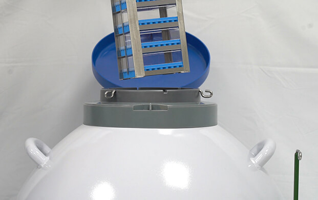 細(xì)菌可以凍在實(shí)驗(yàn)室液氮罐里嗎？