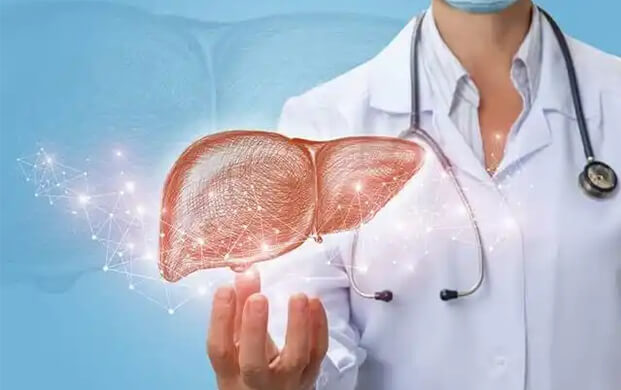 日本培育代謝活性肝細(xì)胞類器官，液氮冷凍技術(shù)突破存儲(chǔ)瓶頸